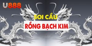 Rồng Bạch Kim - Trang Soi Cầu Lô Đỉnh Cao Chuẩn Xác 