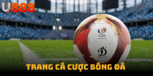 Trang Cá Cược Bóng Đá – Hướng Dẫn Chọn Cổng Game Uy Tín